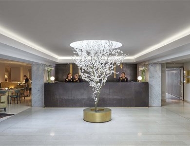 Mandarin Oriental Hotel *****