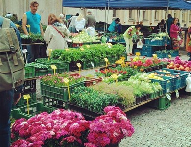 Náplavka Farmers Market