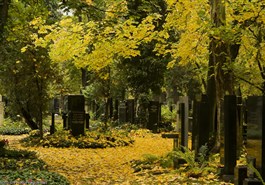 Olšany Cemeteries