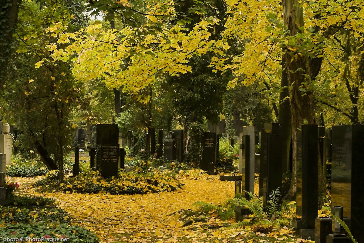 4 Olsany cemeteries Prague