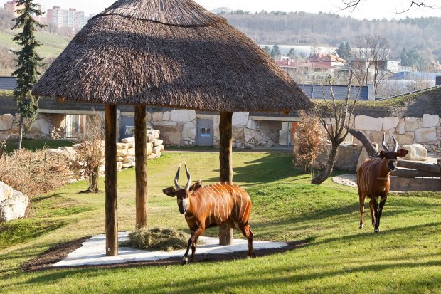 3 Prague zoo