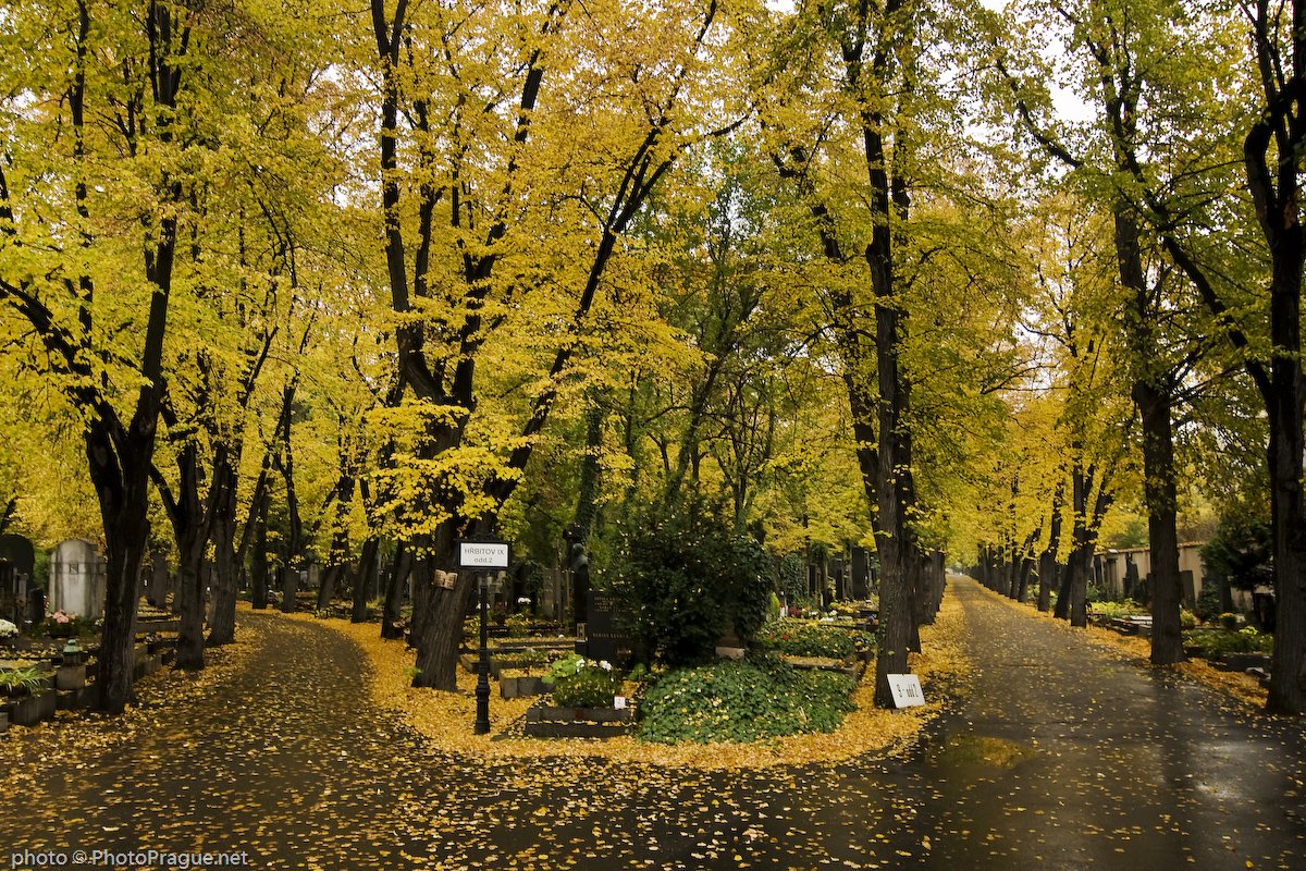 2 Olsany cemeteries Prague