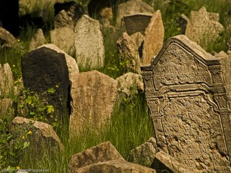 en:On the grass, many gravestones bear inscriptions in Hebrew. ;fr:Sur l'herbe, de nombreuses pierres tombales portent des inscriptions en hébreu.